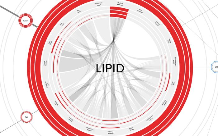 Mapping Affinities in Academic Organizations.