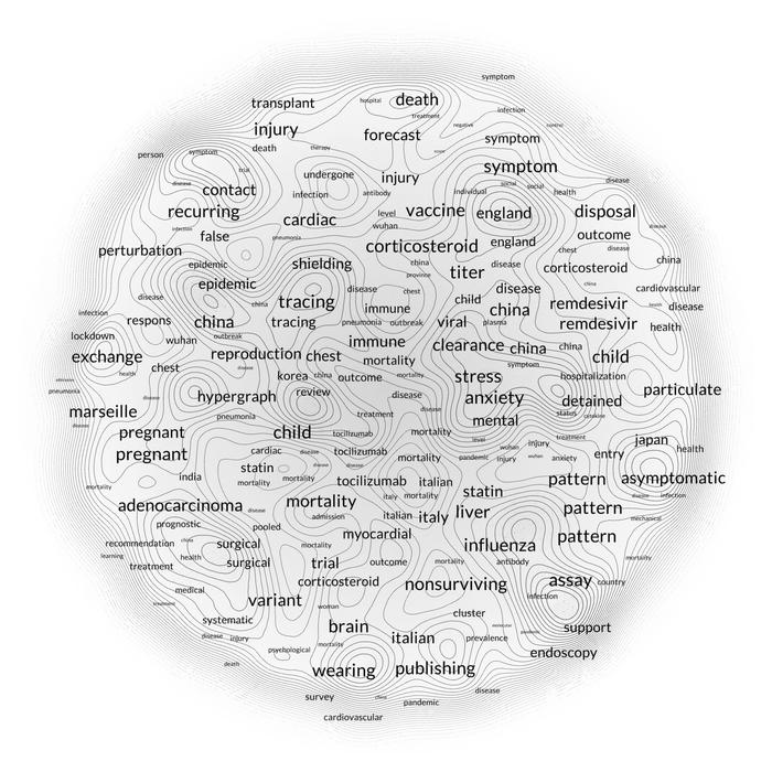 A Visual Translation of the Pandemic