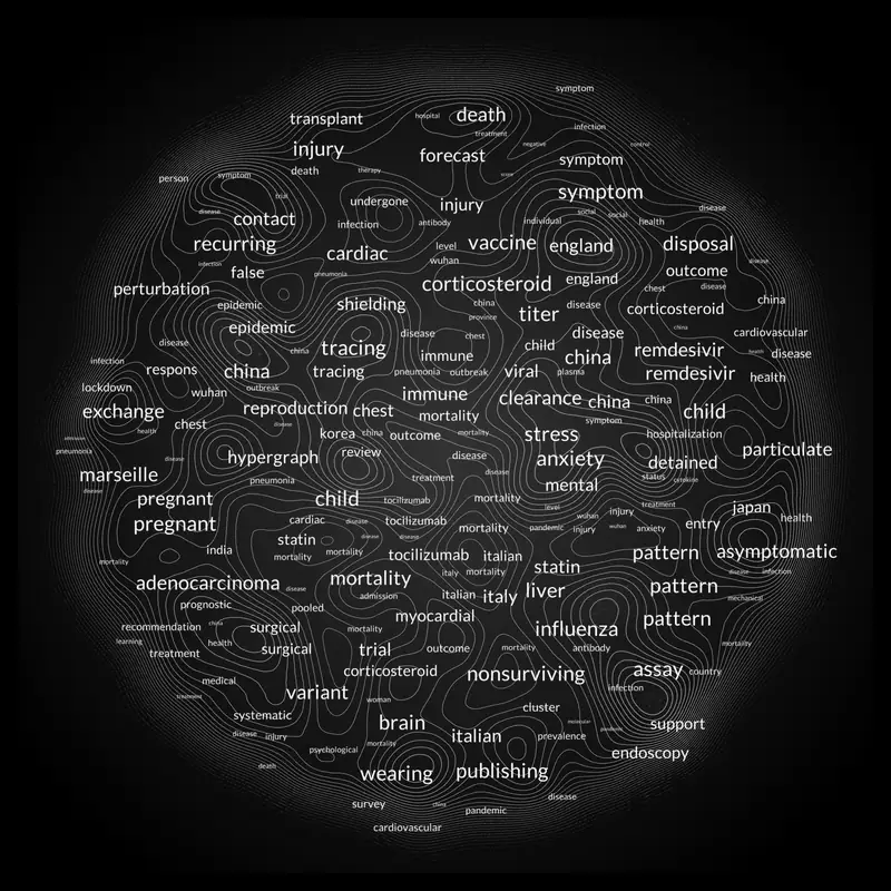 A Visual Translation of the Pandemic — 2022