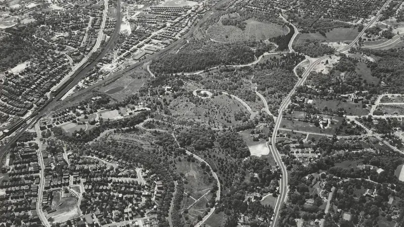 Living Library of Trees: Mapping Knowledge Ecology in Arnold Arboretum — 2025