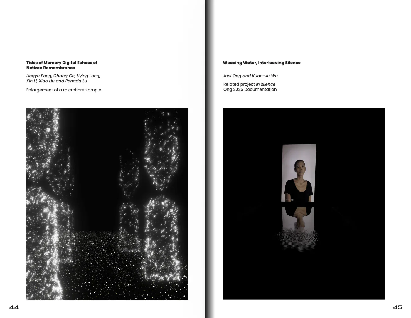 A two-page spread from the VISAP ’25 “Collective Care” catalog, presenting two exhibited artworks with their captions