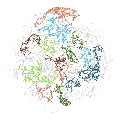 UMAP+HDBSCAN embedding of Rome