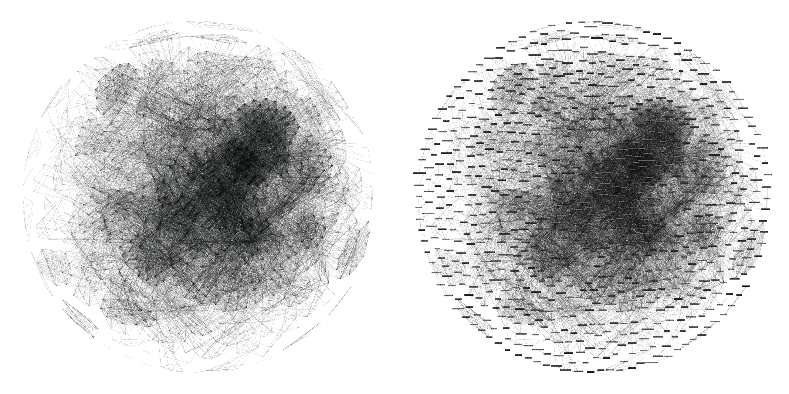Figure 5. The authors network displayed without and with labels.