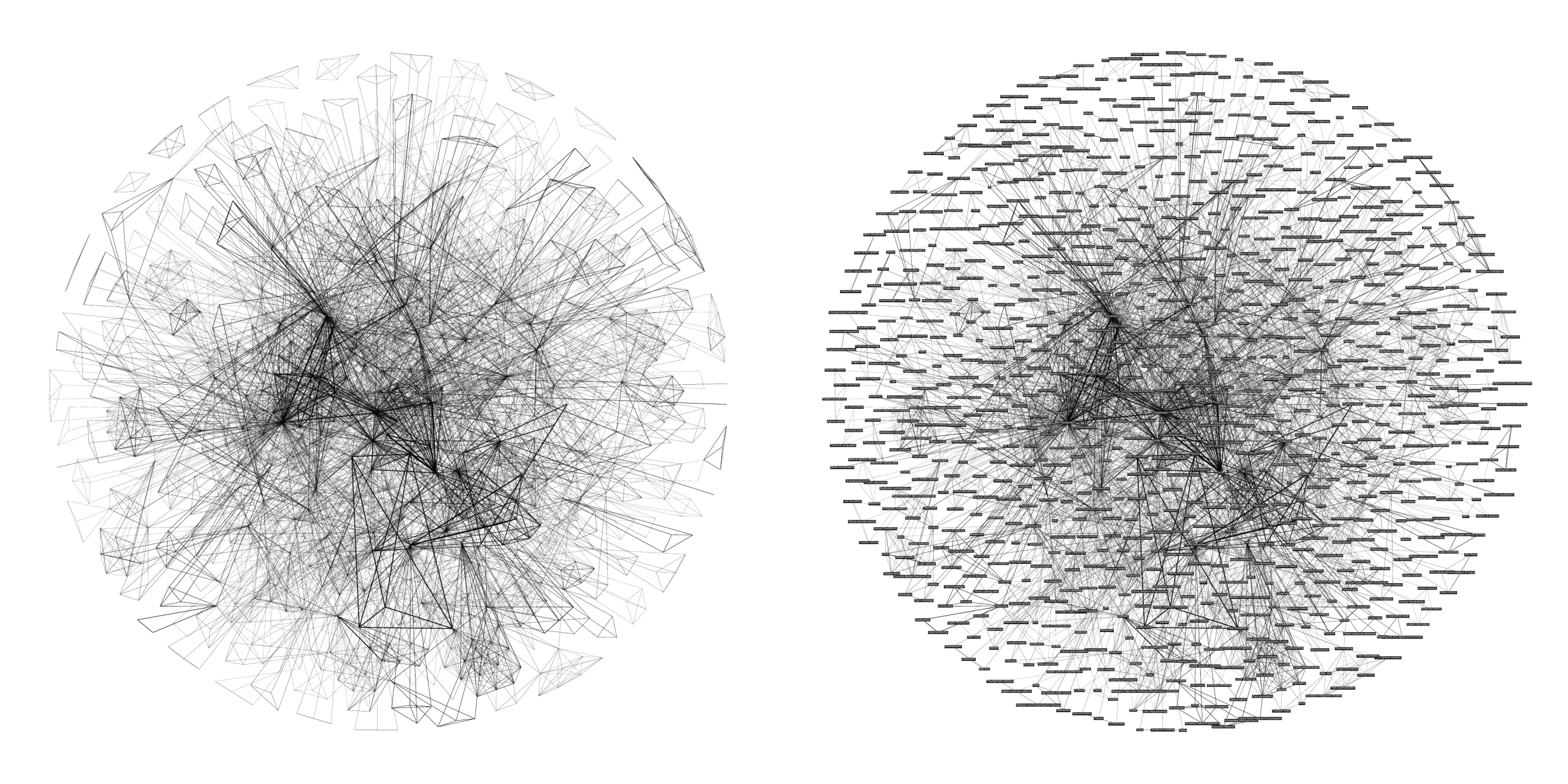 Figure 6. The keywords network displayed without and with labels.
